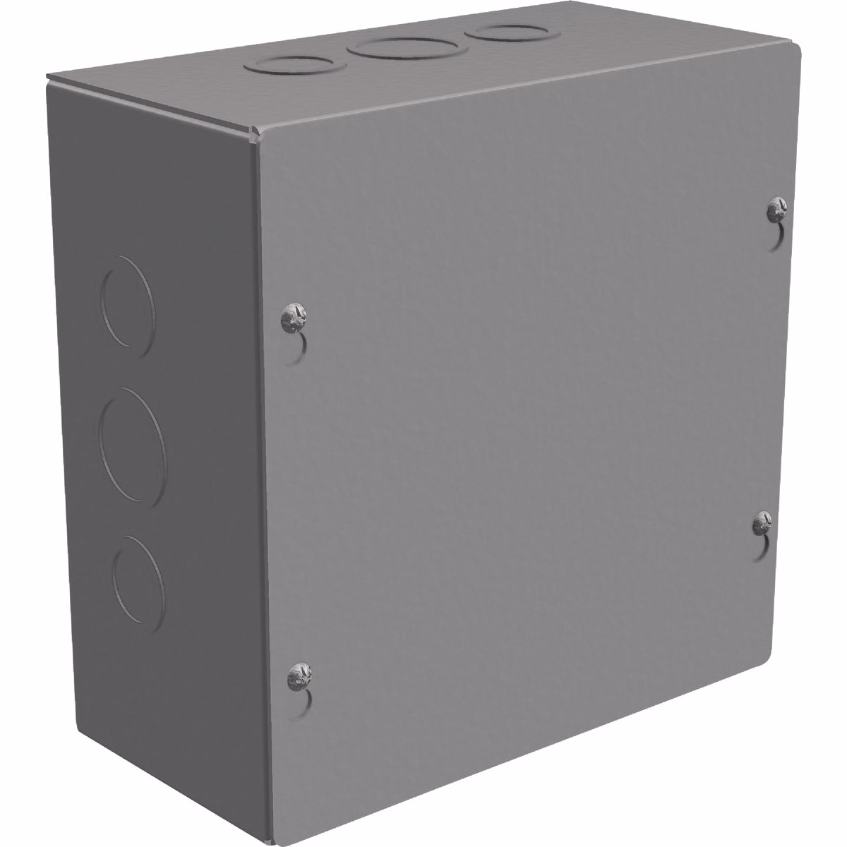 Southwire 8 In. x 8 In. x 4 In. NEMA 1 Screw Cover Enclosure
