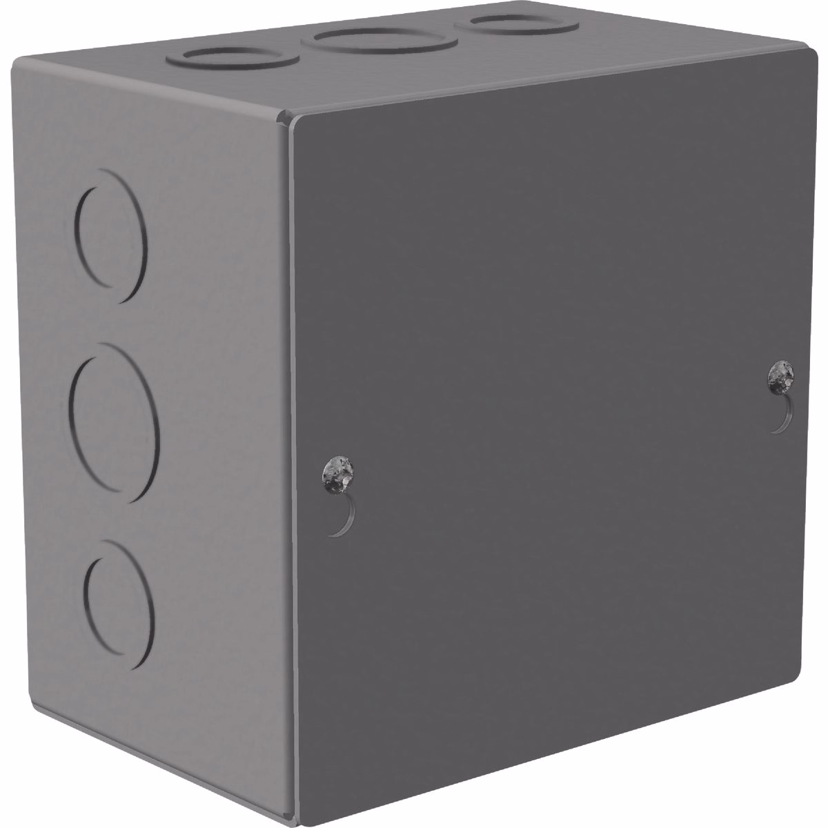 Southwire 6 In. x 6 In. x 4 In. NEMA 1 Screw Cover Enclosure